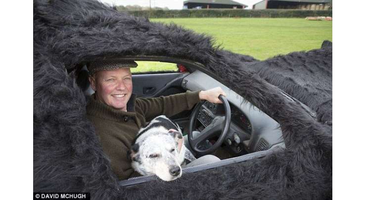 برطانوی کسان نے اپنے کتے کی یاد میں کار تیار بناڈالی