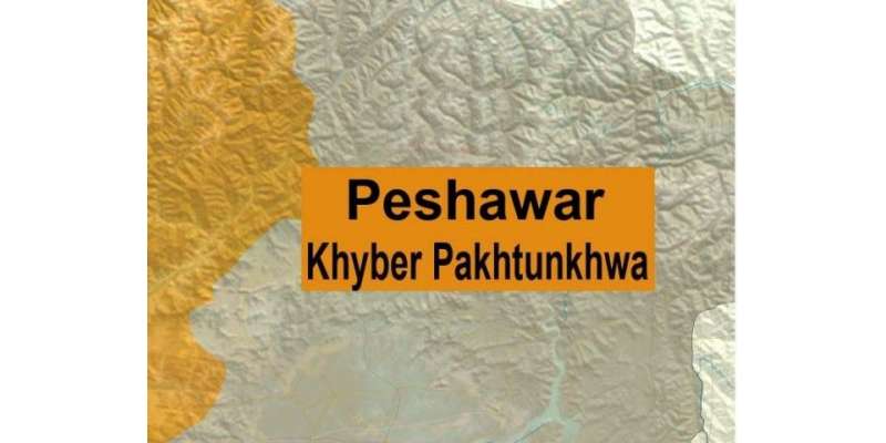 پشاور، پولیس چیک پوسٹ پر دہشتگردوں کا حملہ،ایک حملہ آور ہلاک