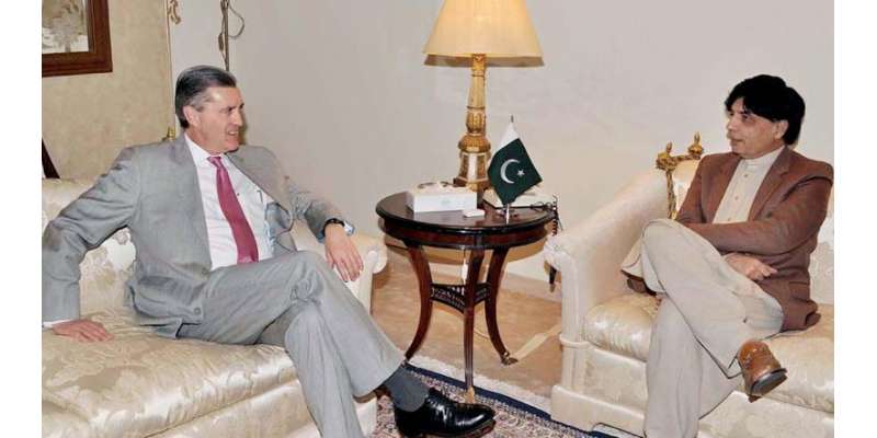 پاکستانی تحفظات دورکرنے کی ہرممکن کوشش کریں گے، امریکی سفیر