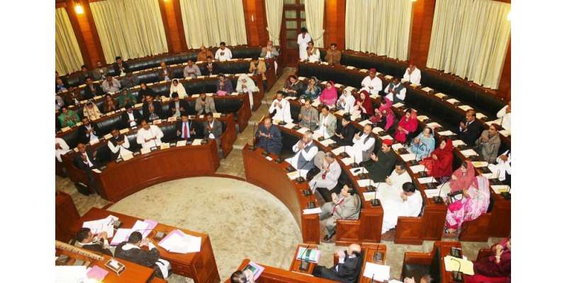 سندھ اسمبلی کے مزید 2 اراکین نے گوشوارے الیکشن کمیشن میں جمع کرا دیئے