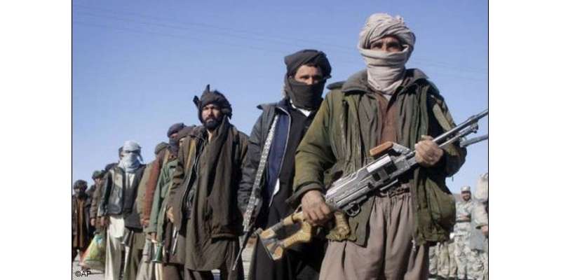 پاکستانی طالبان نے افغانستان پر حملے تیز کردیئے ہیں،وزیرداخلہ ،فغانستان ..