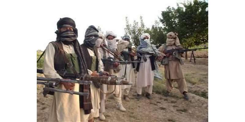 طالبان نے مذاکرات کیلئے جنوبی وزیرستان کا انتخاب کر لیا ، مذاکراتی ..