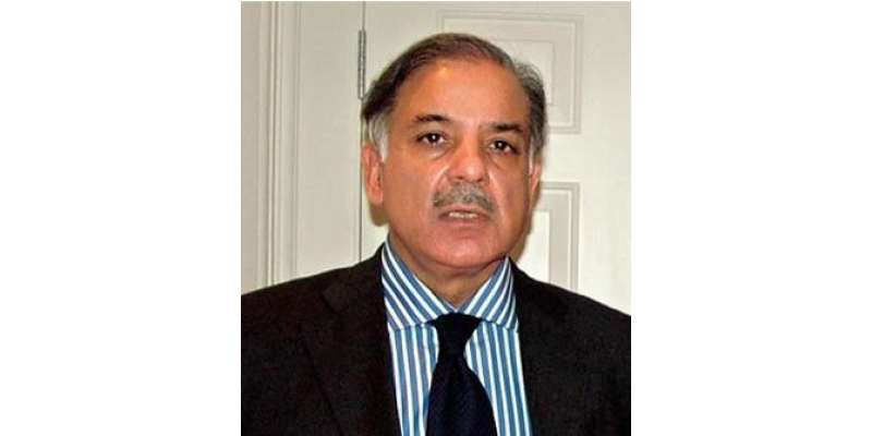 اوورسیز پاکستانیوں کا وزیر اعلی کو خراج تحسین،” شہبازشریف عوام کی ..