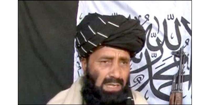 تحریک طالبان مذاکرات میں سنجیدہ ہے ،فوج ،حکومت کا موقف ایک ہونے ،مناسب ..