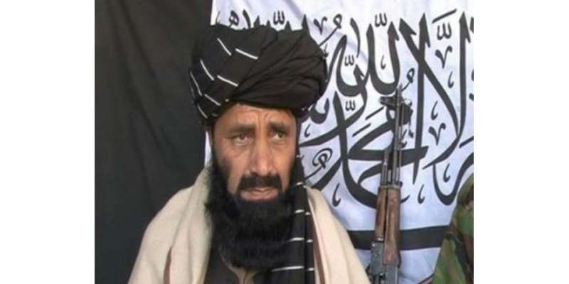 خان سید عرف خالد سجنا گروپ تحریک طالبان پاکستان سے علیحدہ ہوگیا