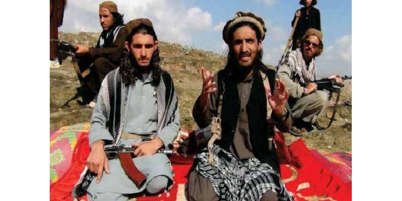 طالبان مہمند گروپ نے حملے کی ذمہ داری قبول کر لی