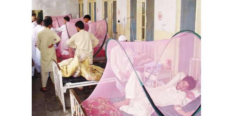 سوات میں ڈینگی وائرس،صوبائی حکومت نے نوٹس لے لیا