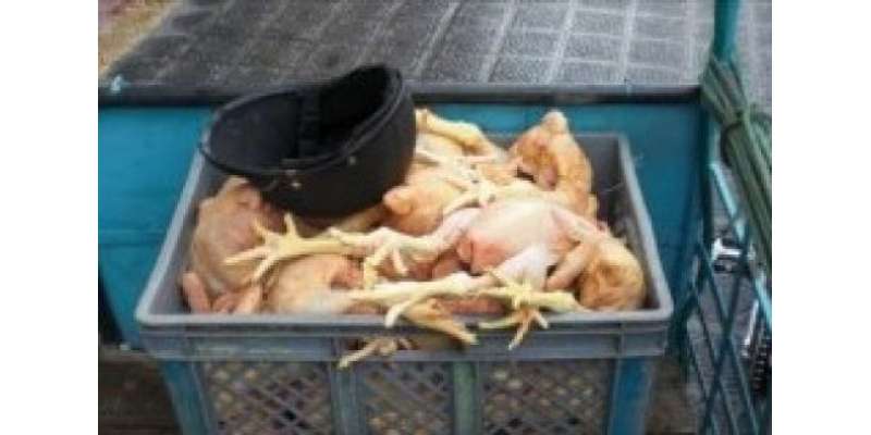 پشاور ، مردہ مرغیوں کا گوشت فروخت کرنے والا کنٹینر برآمد، تین افراد ..