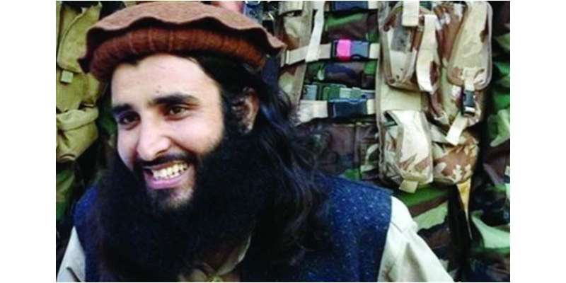طالبان ذرائع نے عدنان رشید کی گرفتاری کی تصدیق کر دی