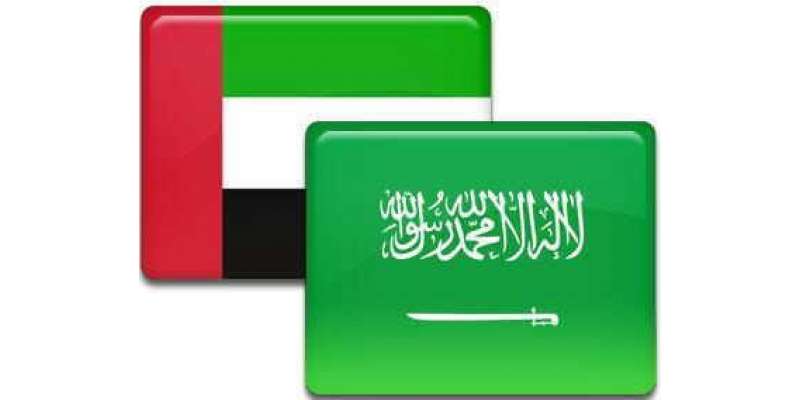 اماراتی وزیرخارجہ کی سعودی ،مصری ہم منصب سے غزہ صورتحال پر گفتگو