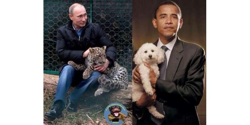 روسی نائب وزیراعظم کا اوباما کی کتے والی تصویرپر ٹوئیٹ