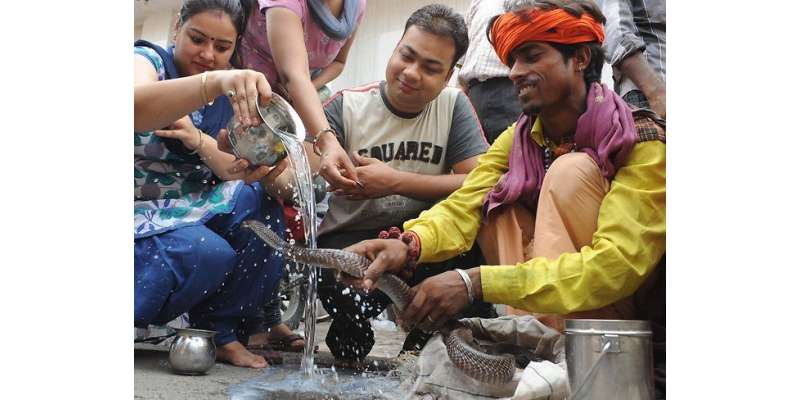 بھارت میں سانپوں کا مذہبی تہوار منایا گیا