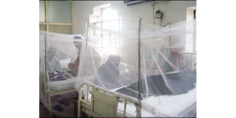 پنجاب میں مزید 9 افراد میں ڈینگی وائرس کی تصدیق، صوبے میں مریضوں کی ..