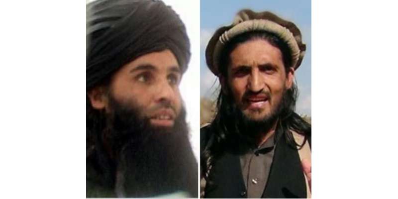 عمر خالد خراسانی کو کالعدم تحریک طالبان پاکستان سے نکال دیا گیا