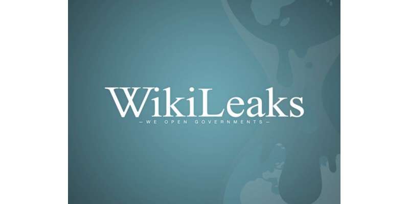 وکی لیکس نے جرمن کمپنی کے جاسوسی سافٹ ویئر کا بھانڈا پھوڑ دیا