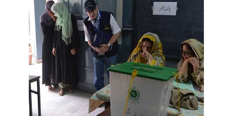 عام انتخابات 2013، جائزہ رپورٹ غیر ملکی فنڈنگ سے تیار ہونے کا انکشاف