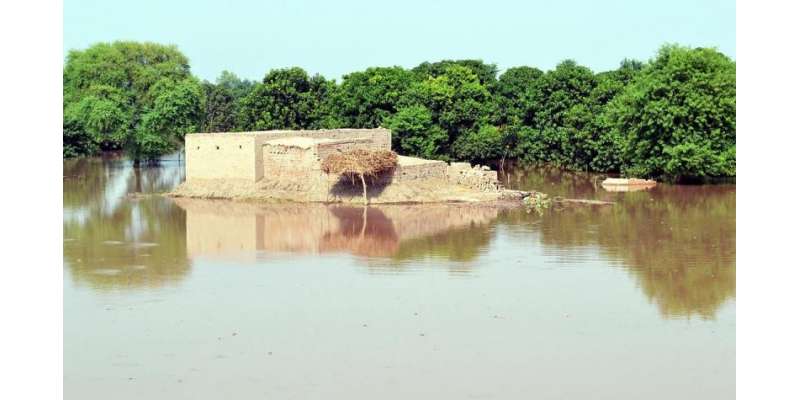 حکومت پنجاب کی جانب سے سیلاب متاثرین کی بحالی کے لیے تاریخی پیکج کا ..