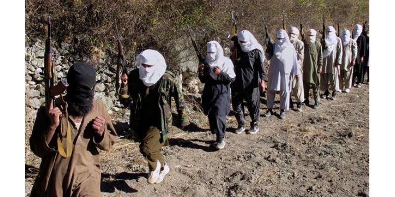 تحریک طالبان کے ناراض گروپ ”داعش“ کالعدم تنظیم میں شامل ہوگئے ہیں ..
