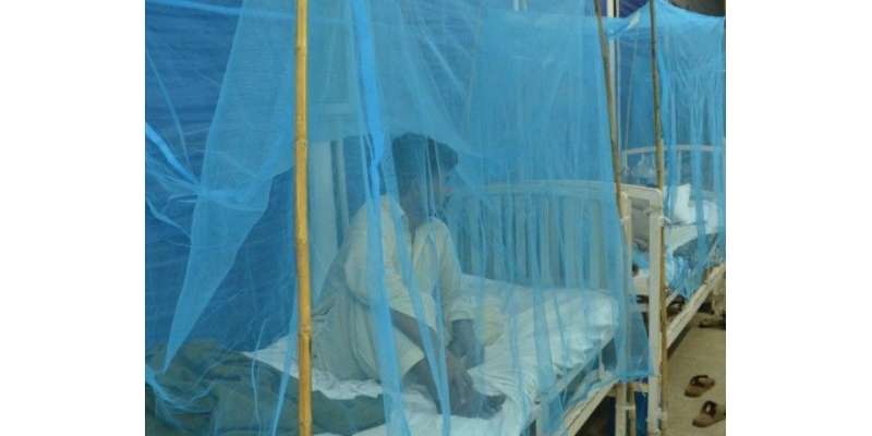 پنجاب میں مزید 32 افراد ڈینگی وائرس کا شکار، مجموعی تعداد 1205 ہو گئی