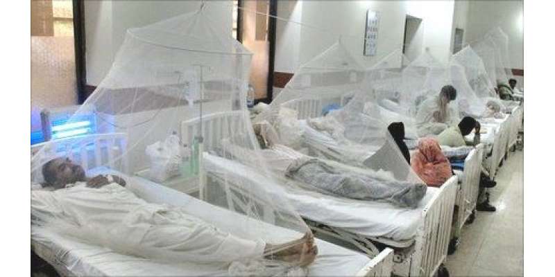 اسلام آباد میں ڈینگی کا پہلا مریض جاں بحق ہو گیا