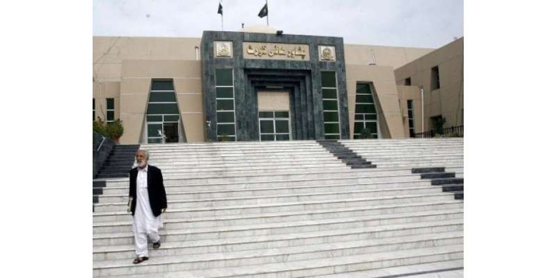 پشاور ہائی کورٹ نے ڈرون حملوں سے متعلق ایک غیر سرکاری تنظیم کی طرف سے ..