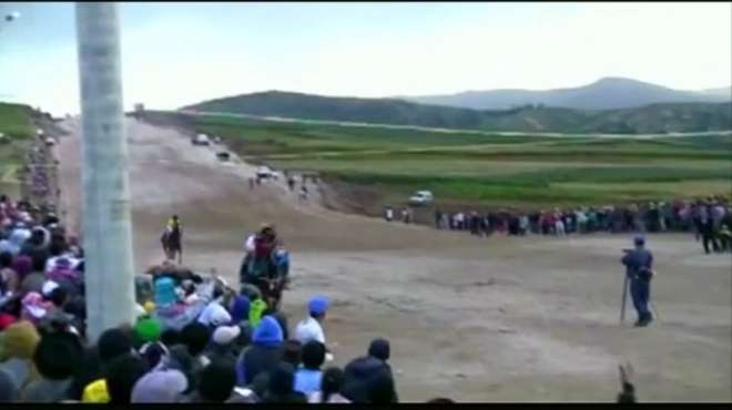 پیرو میں گھڑ دوڑ کے دوران تماشائی کو ایڈونچر مہنگا پڑ گیا