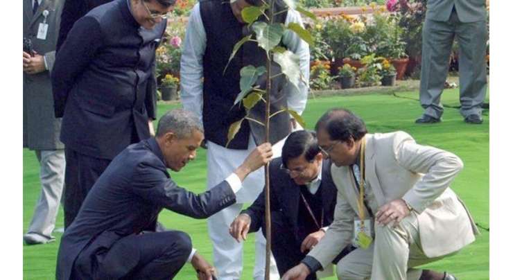 اوباما کا لگایا پودا مرجھا گیا،سرکاری حکام کی نیندیں حرام ہوگئیں