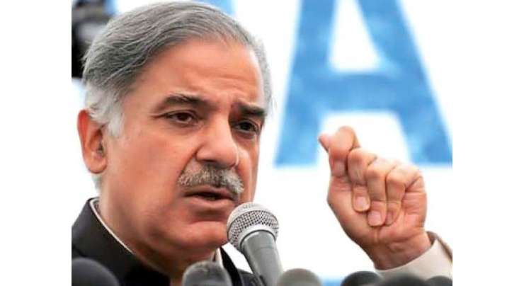 لاہور : وزیر اعلی پنجاب نے فیصل آباد میں زبر دستی کاروبار بند کروانے کا نوٹس لے لیا