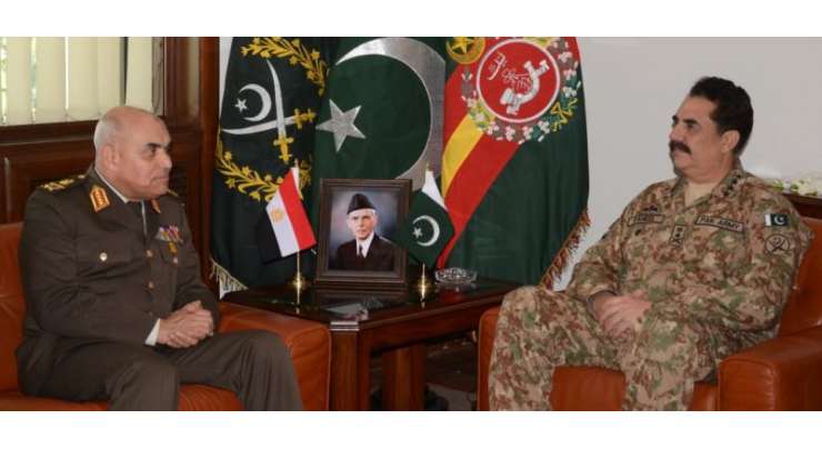راولپنڈی: مصر کے وزیر دفاع اور کمانڈر انچیف کی آرمی چیف راحیل شریف سے ملاقات، اہم امور پر تبادلہ خیال