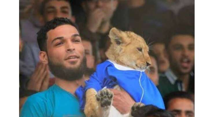 فلسطین کا ببر شیر، فٹ بال کا  شیدائی