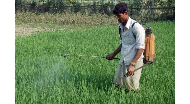 ضلعی انتظامیہ کے محکمہ زراعت شہر کی ما رکیٹوں میں کھاد اور کیڑے مار ادویات کے معیار کو چیک کر رہا ہے‘ ڈی سی او لاہور