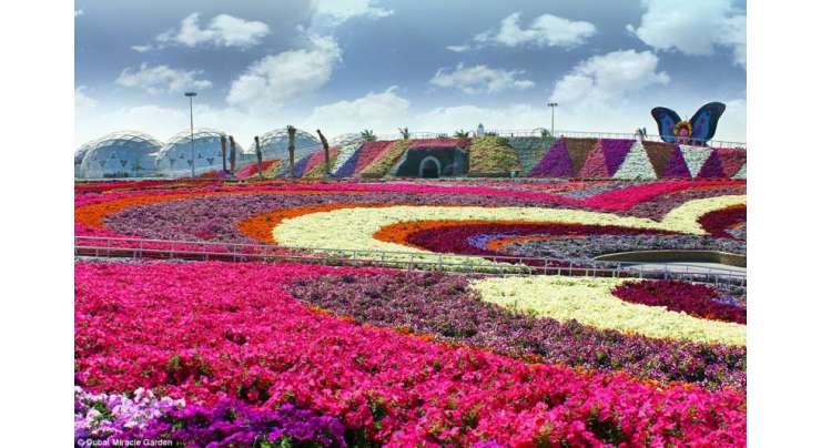 دنیا کا سب سے بڑا پھولوں کا باغ