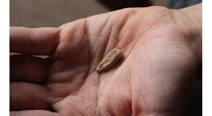 فرانسیسی ماہرین آثار قدیمہ کا ساڑھے پانچ لاکھ سال سال پرانا انسانی دانت دریافت کرنے کا دعوی