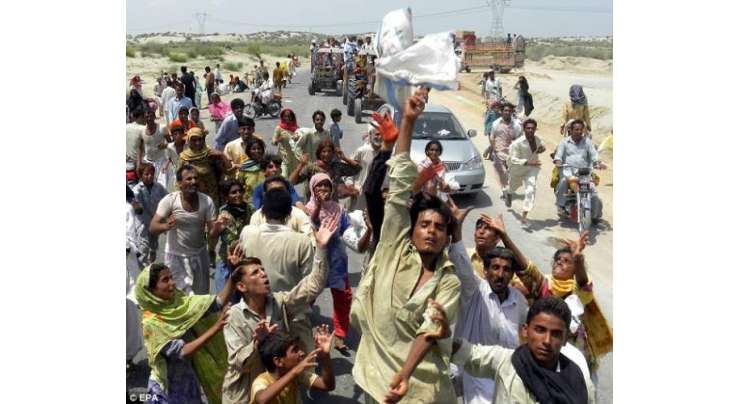 سندھ حکومت کاکارنامہ ،گھوٹکی میں ہزاروں سیلاب متاثرین کیلئے چاولوں کی صرف دو دیگیں بھیجی گئیں