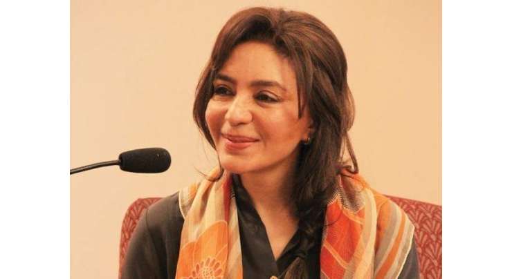 وزیر اعلیٰ پنجاب شہباز شریف کی اہلیہ تہمینہ درانی کی ن لیگ پر تنقید