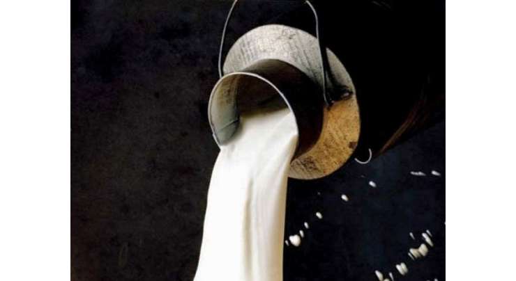 حکومت پنجاب نے لاہور میں پنجاب فورڈ اتھارٹی کو دودھ کی کوالٹی کی چیکنگ سے روک دیا