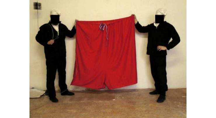 جمہوریہ چیک‘ صدارتی محل پر قومی پرچم کی بجائے زیرجامہ لہرا دیا گیا