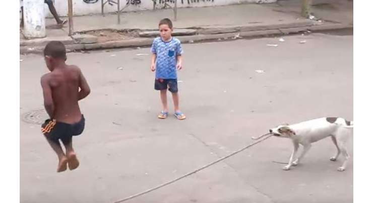 برازیلین کتا جو بچوں کو رسہ کودنے میں مدد دیتا ہے