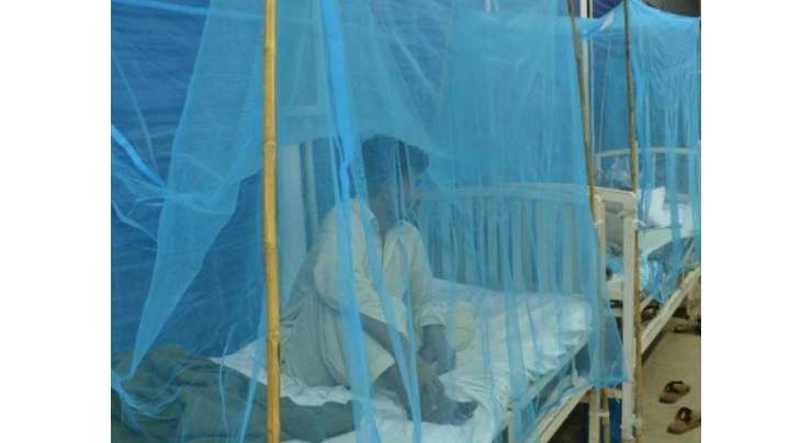 پنجاب ، خیبرپختونخوا کے ہسپتال ڈینگی مریضوں سے بھر گئے ، لاہور میں ایک نوجوان دم توڑ گیا