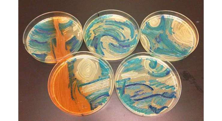 دنیا میں پہلی بار بیکٹیریا اور جراثیموں سے فن پارے بنانے کا مقابلہ