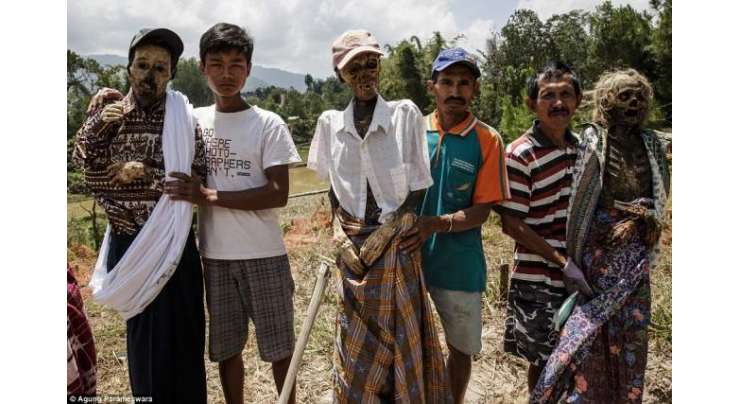 انڈونیشیا کے ایک جزیرے میں مردوں کے ڈھانچوں کوقبروں سے نکال کر صفائی کرنے کے رواج کا انکشاف