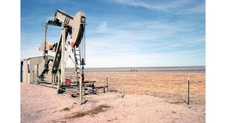 پاکستان میں شیل گیس کے 10ہزار کھرب مکعب فٹ اور 2,323کھرب بیرل تیل کے ذخائر پائے جاتے ہیں ٗ وزار ت پٹرولیم