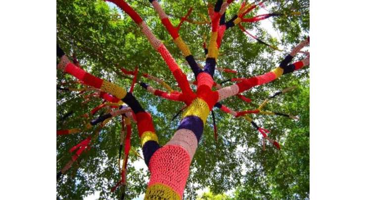 چین میں درختوں کیلئے بھی رنگ برنگے سوئیٹرز تیار