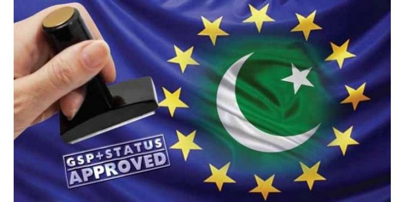 جی ایس پی پلس کی وجہ سے یورپین یونین کو پاکستان کی مجموعی برآمدات میں ..