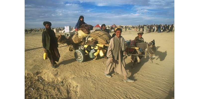 پا کستا ن سے رواں سال 30ہزار افغان مہاجرین واپس چلے گئے
