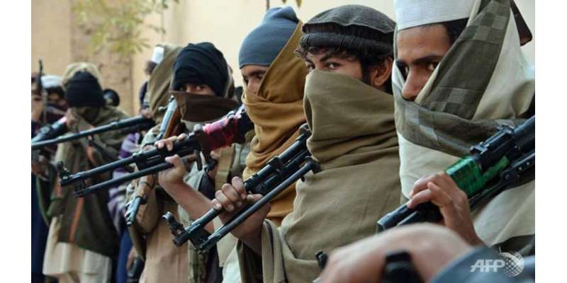 چین نے دہشت گردوں کے خلاف افغان طالبان سے مددمانگ لی