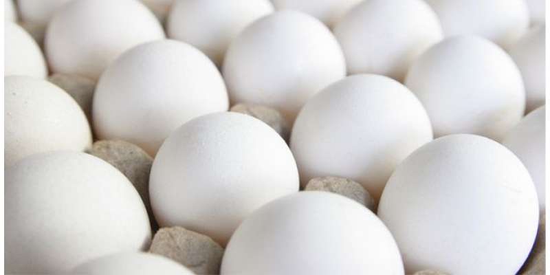 کیوبا،سرکاری کمپنیوں سے 80 لاکھ انڈے چرانے کا الزام،عہدیداروں کو 20سال ..