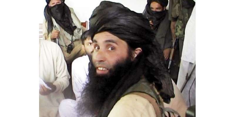 وادی تیرہ میں کالعدم تنظیم تحریک طالبان پاکستان کے سربراہ مولوی فضل ..