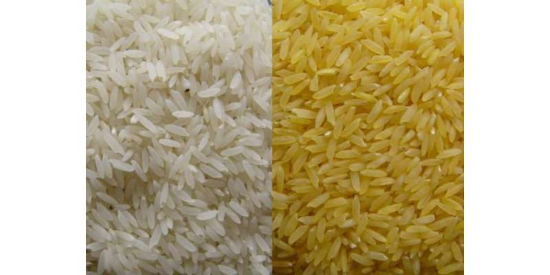 سائنسدانوں نے کم کیلوری والے چاول بنانے کا طریقہ ڈھونڈ لیا