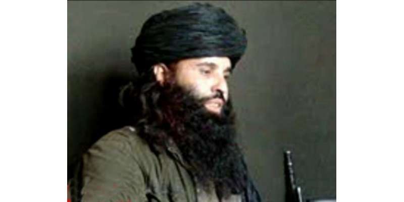 اقوام متحدہ نے کالعدم تحریک طالبان کے سر براہ ملا فضل اللہ پر پابندیاں ..